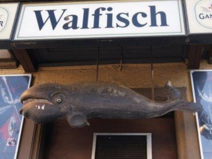 Foto: Walfisch